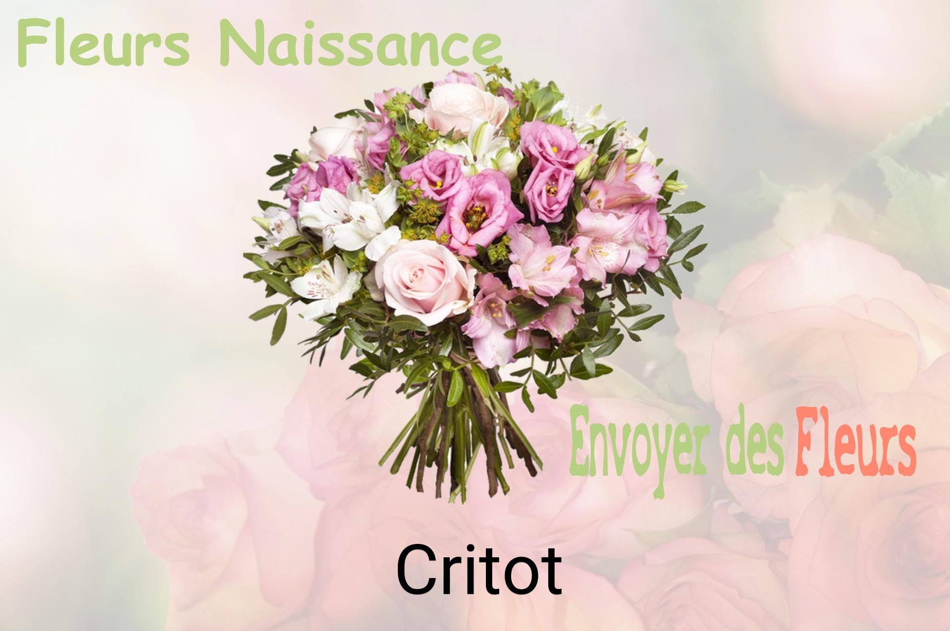 Bouquet de fleurs de naissance livré à Critot