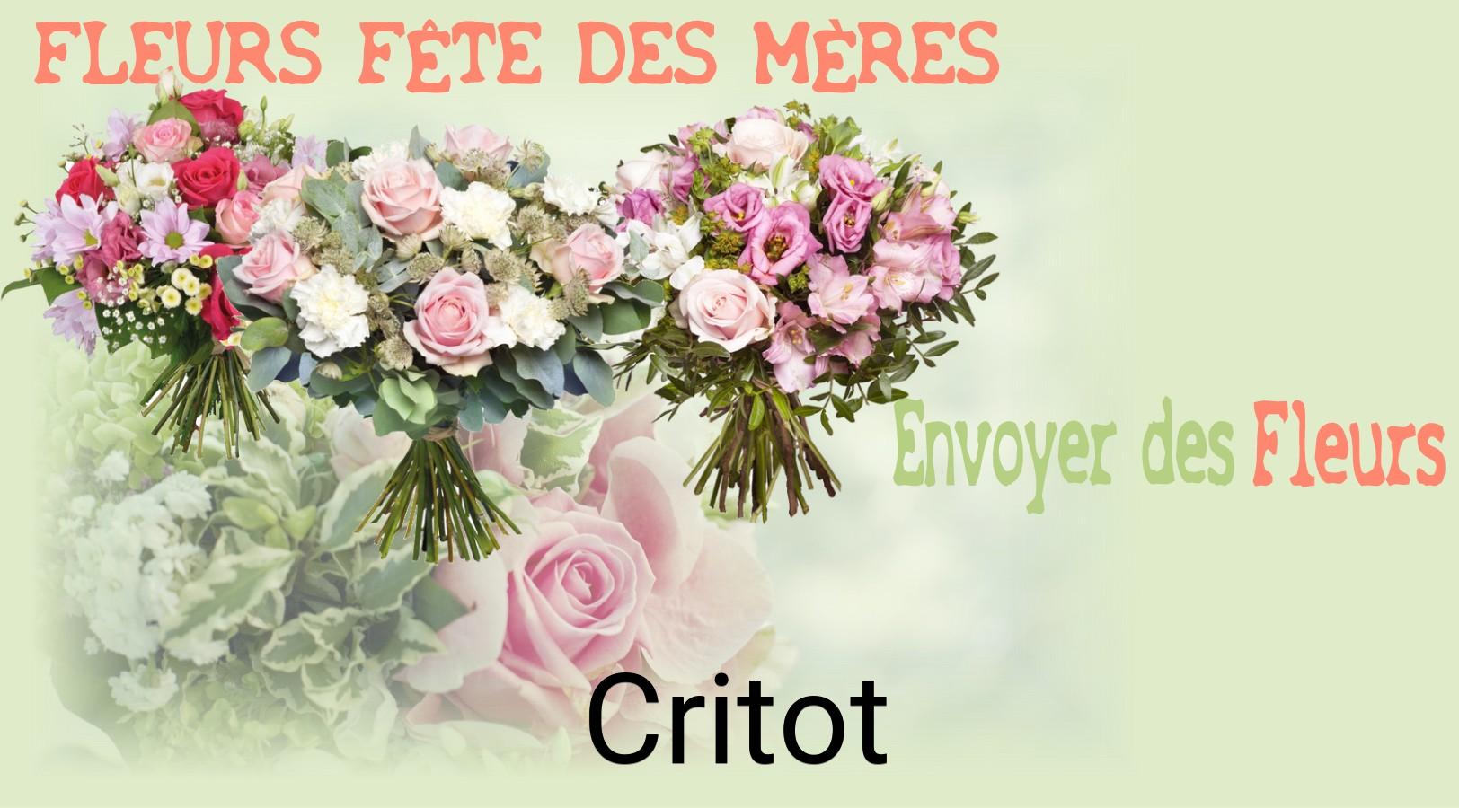 Bouquet de Fête des Mères livré à Critot